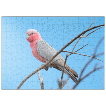 puzzleplate Galah 200 Puzzle