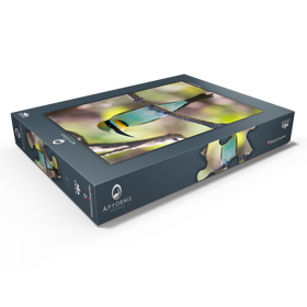 Alternative Darstellung des Puzzle-Motivs Regenbogenspint – Puzzleteile: 1000
