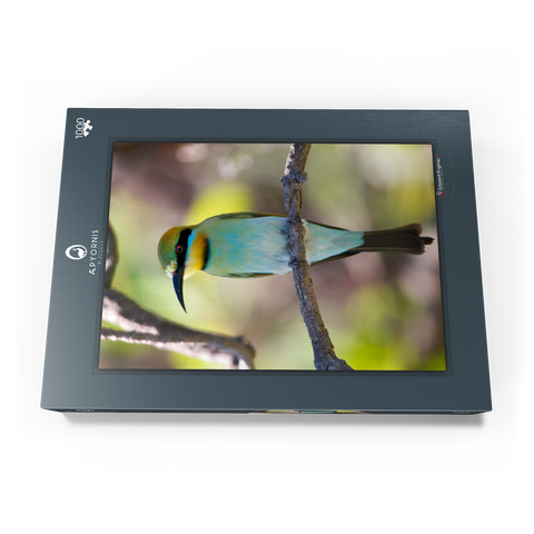 Rainbow Bee-eater 1000 Puzzle Schachtel Ansicht3
