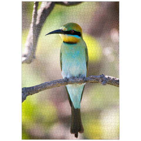 puzzleplate Rainbow Bee-eater 1000 Puzzle