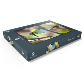 Darstellung des Puzzle Motivs Regenbogenspint - Puzzleteile: 100