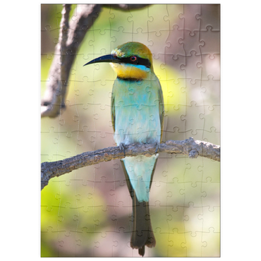 puzzleplate Rainbow Bee-eater 100 Puzzle