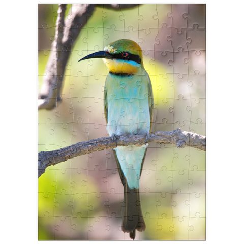 puzzleplate Rainbow Bee-eater 100 Puzzle