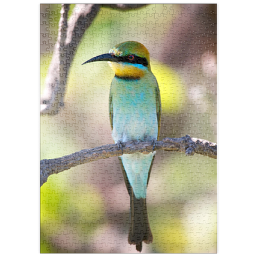 puzzleplate Rainbow Bee-eater 500 Puzzle