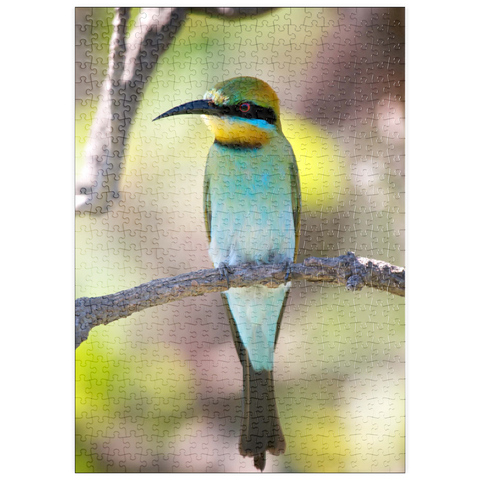 puzzleplate Rainbow Bee-eater 500 Puzzle