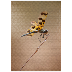 Darstellung des Puzzle-Motivs Ready for take-off – Puzzleteile: 1000