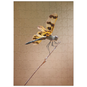 Darstellung des Puzzle Motivs Ready for take-off - Puzzleteile: 100