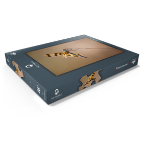 Alternative Darstellung des Puzzle-Motivs Ready for take-off – Puzzleteile: 200