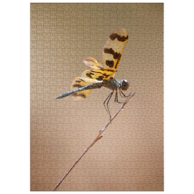 Darstellung des Puzzle Motivs Ready for take-off - Puzzleteile: 500