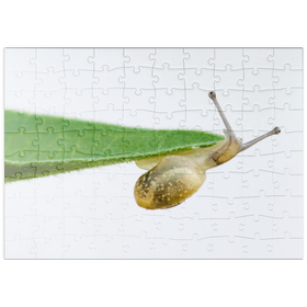 Darstellung des Puzzle Motivs Gym! - Puzzleteile: 100