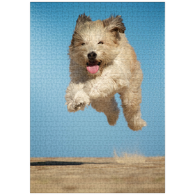 Darstellung des Puzzle-Motivs Still “running”? – Puzzleteile: 1000