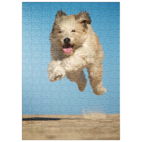 Darstellung des Puzzle-Motivs Still “running”? – Puzzleteile: 200