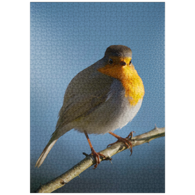 Darstellung des Puzzle-Motivs Rotkehlchen – Puzzleteile: 1000