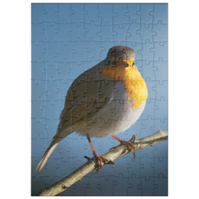Darstellung des Puzzle Motivs Rotkehlchen - Puzzleteile: 100