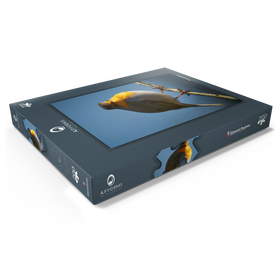 Darstellung des Puzzle Motivs Rotkehlchen - Puzzleteile: 200