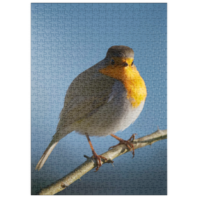 Darstellung des Puzzle Motivs Rotkehlchen - Puzzleteile: 500