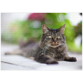 Darstellung des Puzzle-Motivs Toupie at F/1.2 – Puzzleteile: 1000