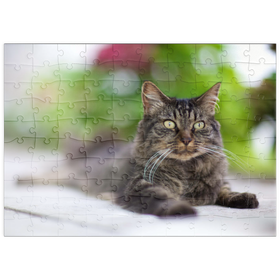 Darstellung des Puzzle Motivs Toupie at F/1.2 - Puzzleteile: 100