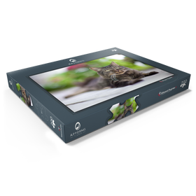 Alternative Darstellung des Puzzle-Motivs Toupie at F/1.2 – Puzzleteile: 200