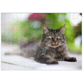 Darstellung des Puzzle-Motivs Toupie at F/1.2 – Puzzleteile: 200
