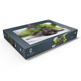 Darstellung des Puzzle Motivs Toupie at F/1.2 - Puzzleteile: 500