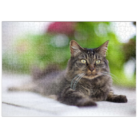 Darstellung des Puzzle Motivs Toupie at F/1.2 - Puzzleteile: 500