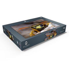 Darstellung des Puzzle Motivs Europäische Papierwespe - Puzzleteile: 1000