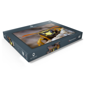 Darstellung des Puzzle Motivs Europäische Papierwespe - Puzzleteile: 100