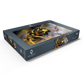 Darstellung des Puzzle Motivs Europäische Papierwespe - Puzzleteile: 1000