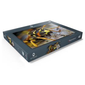 Darstellung des Puzzle Motivs Europäische Papierwespe - Puzzleteile: 100