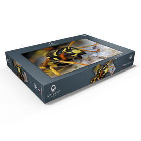 Darstellung des Puzzle Motivs Europäische Papierwespe - Puzzleteile: 500