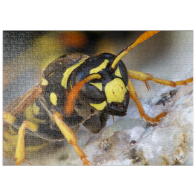 Darstellung des Puzzle Motivs Europäische Papierwespe - Puzzleteile: 500