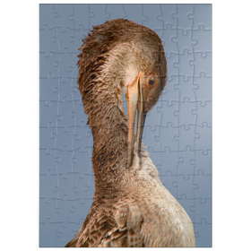 Darstellung des Puzzle Motivs Europäische Krähenscharbe - Puzzleteile: 100