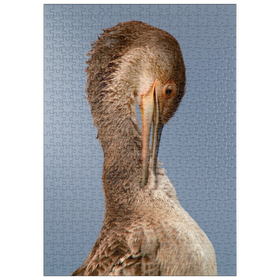 Darstellung des Puzzle Motivs Europäische Krähenscharbe - Puzzleteile: 500