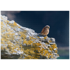 Darstellung des Puzzle-Motivs Turmfalke – Puzzleteile: 1000
