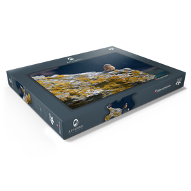 Darstellung des Puzzle Motivs Turmfalke - Puzzleteile: 100