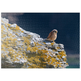 Darstellung des Puzzle Motivs Turmfalke - Puzzleteile: 500