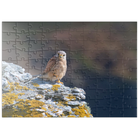 Darstellung des Puzzle Motivs Turmfalke - Puzzleteile: 100
