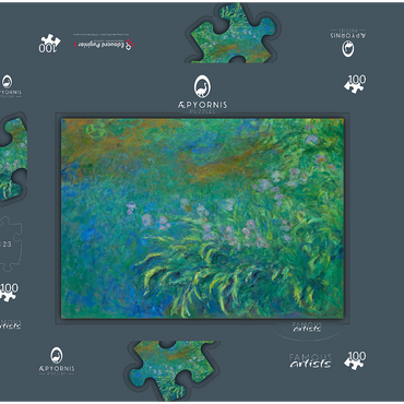 Irises (1914–1917) by Claude Monet 100 Puzzle Schachtel 3D Modell