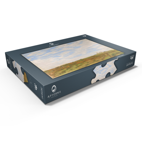 Landscape (1864–1866) by Claude Monet 1000 Puzzle Schachtel Ansicht1