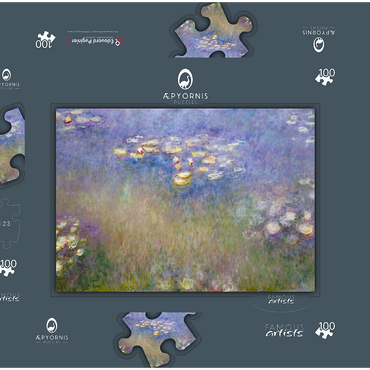 Claude Monet's Water Lilies (1915–1916) 100 Puzzle Schachtel 3D Modell