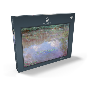 Claude Monet's The Water Lily Pond (Clouds) (1903) 100 Puzzle Schachtel Ansicht2