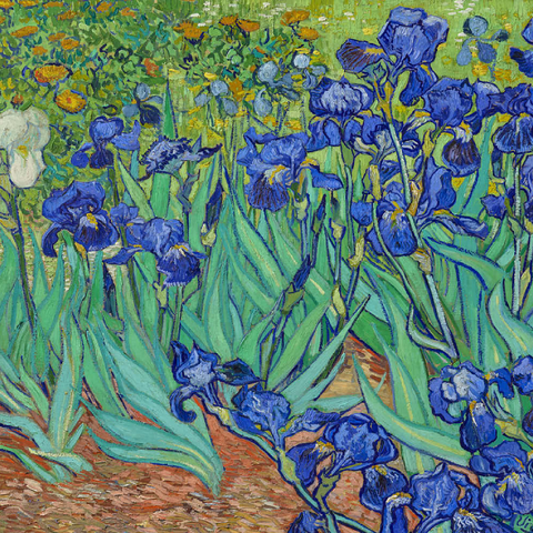 Irises (1889) by Vincent van Gogh 100 Puzzle 3D Modell
