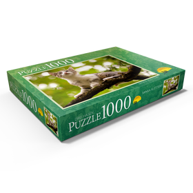 Alternative Darstellung des Puzzle-Motivs Minka klettert – Puzzleteile: 1000