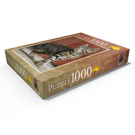 Alternative Darstellung des Puzzle-Motivs Nala erkundet – Puzzleteile: 1000