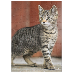 Darstellung des Puzzle Motivs Nala erkundet - Puzzleteile: 100