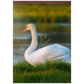 Darstellung des Puzzle-Motivs Schwan am See – Puzzleteile: 1000