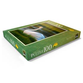 Darstellung des Puzzle Motivs Schwan am See - Puzzleteile: 100