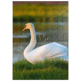 Darstellung des Puzzle Motivs Schwan am See - Puzzleteile: 100