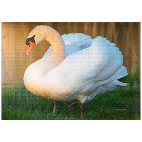 Darstellung des Puzzle-Motivs Schwan im Abendlicht – Puzzleteile: 1000